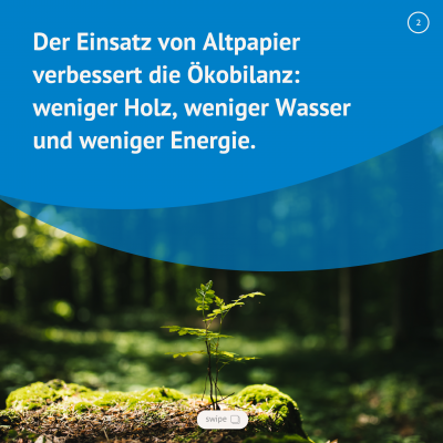 Abfall Lippe Papiertiger 02